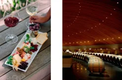 New Mags Coffee Table Book - 150 Vineyards